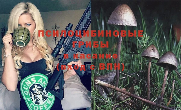 дурь Володарск