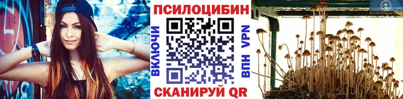 Галлюциногенные грибы Psilocybine cubensis  кракен зеркало  Ливны 